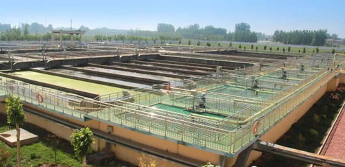 走进临清污水处理厂 探秘污水“变清”的神奇旅程