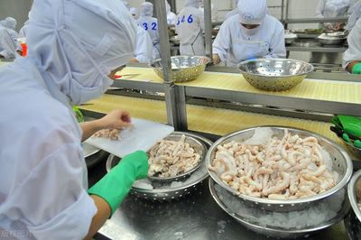 海产品加工企业如何从三个关键方面选择污水处理站方案