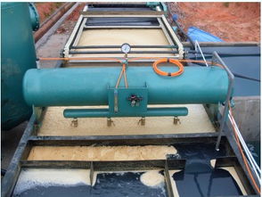 上海市射流式污水处理气浮机畅销，助力城市污水治理升级